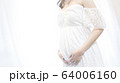 妊婦のお腹　21週 64006160