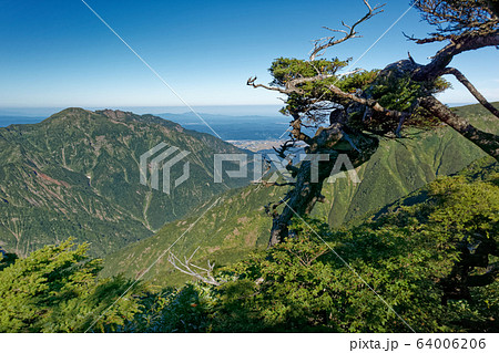 越後三山縦走路から見る八海山 越後三山縦走路から見る八海山 64006206