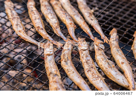 バーベキューでししゃもを焼く 64006467