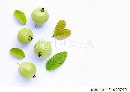 Top view of fresh ripe guava with leaves on white 64006746