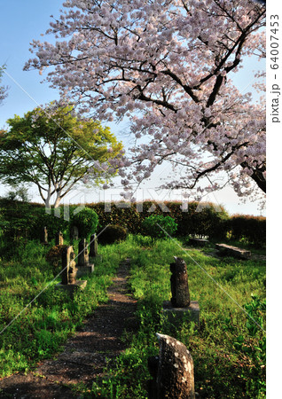 九品寺の西国三十三ヶ所石仏 64007453