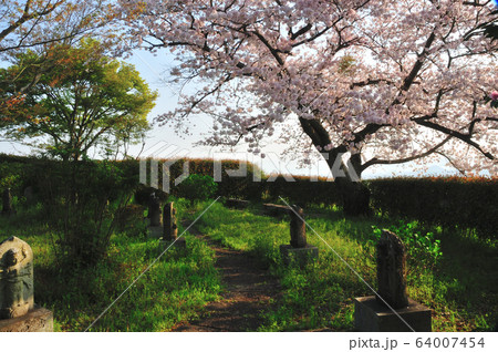 九品寺の西国三十三ヶ所石仏 64007454