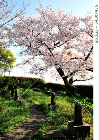 九品寺の西国三十三ヶ所石仏 64007455