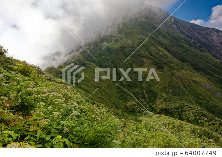 兎岳の鞍部から見る雲湧く中ノ岳 64007749