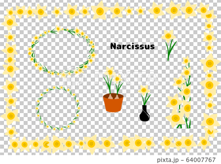 スイセン 水仙のイラスト・フレームセット スイセン 水仙のイラスト・フレームセット 64007767