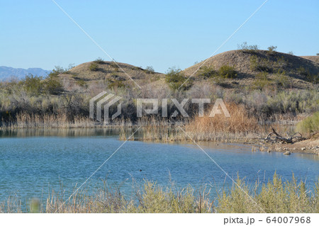 Lake Havasu National Wildlife Refuge on the Colorado River in Mohave County, Arizona USA 64007968