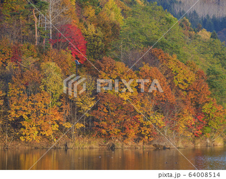 鮮やかな紅葉の山と湖面への映り込み 64008514