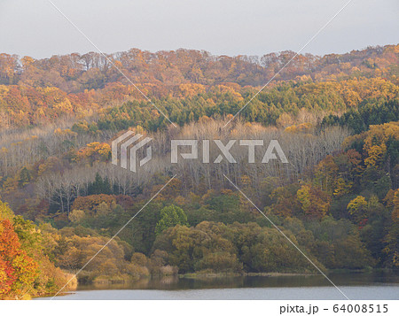 鮮やかな紅葉の山と湖02 64008515
