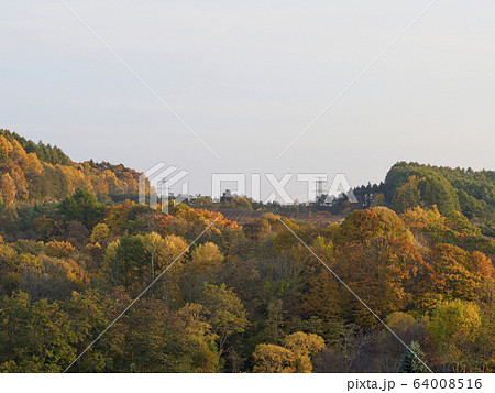 紅葉の山と山頂の鉄塔2基 紅葉の山と山頂の鉄塔2基 64008516