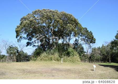 生目古墳群史跡公園・19号墳 64008620