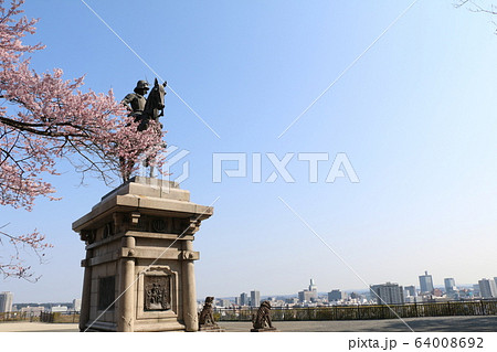 伊達政宗騎馬像と桜 64008692