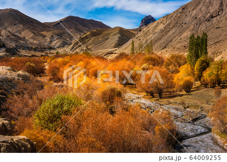 view of the Ladakh Range of Mountains from Leh in India 64009255