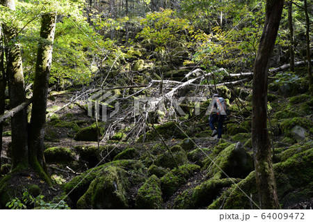 黒川山登山道 64009472