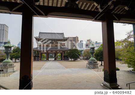 愛知県　春　名古屋市　真宗大谷派名古屋別院 64009482