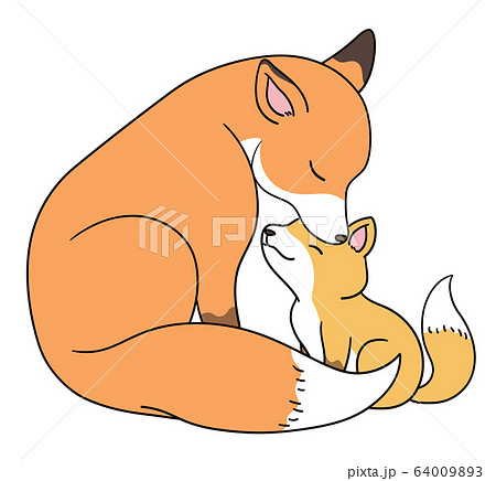 動物 動物学 キツネ 64009893