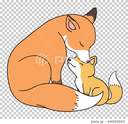 動物 動物学 キツネ 64009893