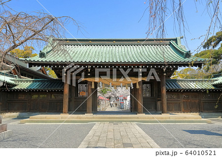 【静岡県】桜が満開の三嶋大社（総門） 64010521