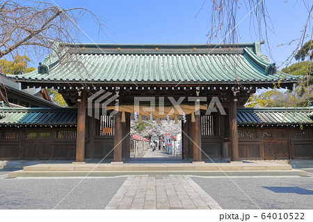 【静岡県】桜が満開の三嶋大社（総門） 64010522