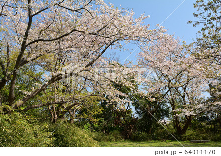 横浜・本牧山頂公園 横浜・本牧山頂公園 64011170