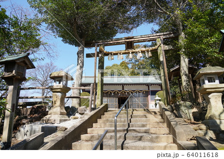 大阪　池田　五月山　愛宕神社（春、鳥居と拝殿） 64011618