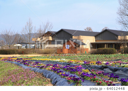 春の安曇野ちひろ美術館 春の安曇野ちひろ美術館 64012448
