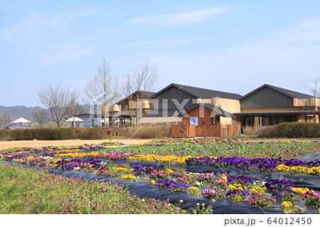 春の安曇野ちひろ美術館 春の安曇野ちひろ美術館 64012450