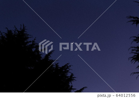 月 夜明け 木 64012556