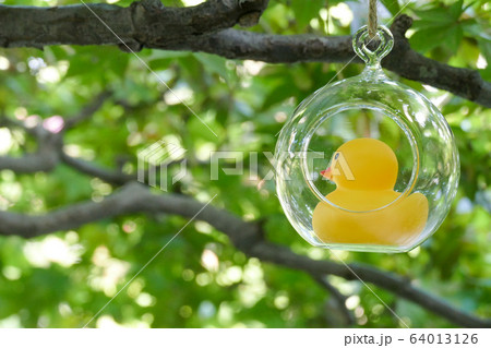 おふさ観音 風鈴まつり 64013126