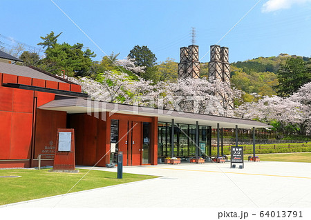 【静岡県】桜が満開の韮山反射炉 【静岡県】桜が満開の韮山反射炉 64013791