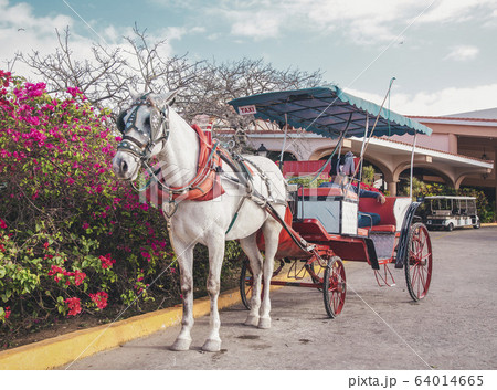 tourist cart with a horse near the hotel in Cuba tourist cart with a horse near the hotel in Cuba 64014665