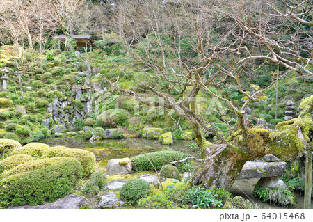 【金剛輪寺 明寿院庭園】 滋賀県愛知郡愛荘町松尾寺 64015468