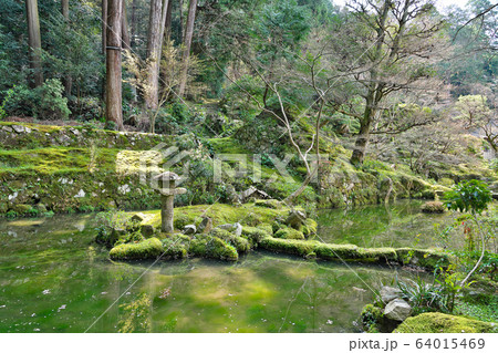 【金剛輪寺 明寿院庭園】 滋賀県愛知郡愛荘町松尾寺 【金剛輪寺 明寿院庭園】 滋賀県愛知郡愛荘町松尾寺 64015469