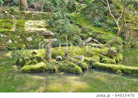 【金剛輪寺 明寿院庭園】 滋賀県愛知郡愛荘町松尾寺 64015470