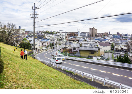 愛知県　名古屋市　猫ヶ洞通 64016043