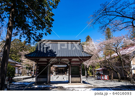 山梨県　冨士小室浅間神社の境内 64016093