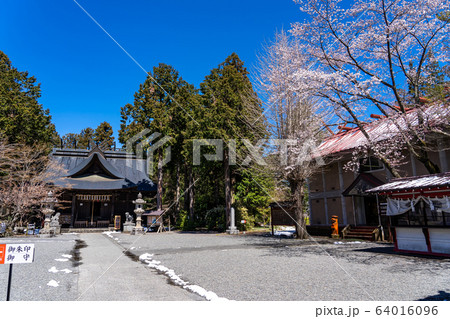 山梨県　冨士小室浅間神社の境内 64016096