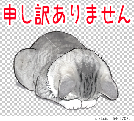 謝罪ねこ 申し訳ありません ごめんなさい 土下座ネコ のイラスト素材