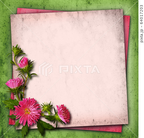 Aster flowers on vintage background Aster flowers on vintage background 64017203