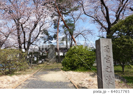 雨宮の渡し 64017765