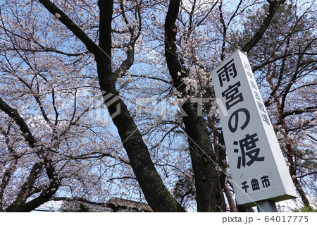 雨宮の渡し 64017775