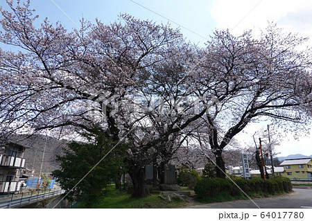 雨宮の渡し 64017780