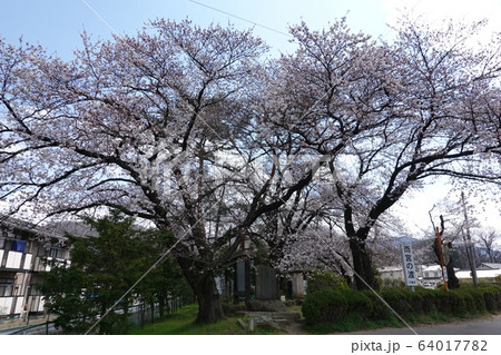 雨宮の渡し 64017782