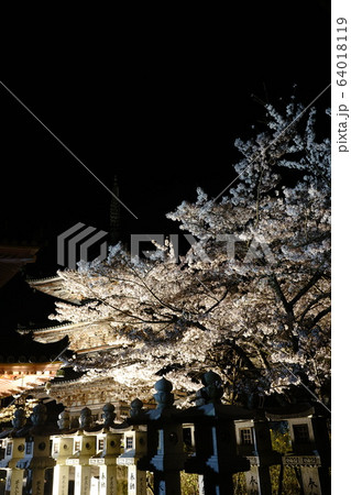 壷阪寺 桜のライトアップ 壷阪寺 桜のライトアップ 64018119