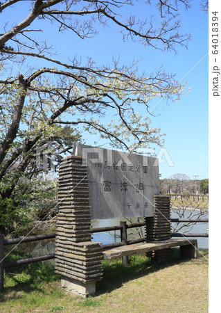 千葉県立富津公園 千葉県立富津公園 64018394