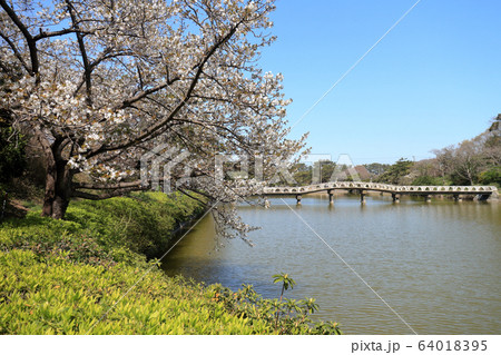 千葉県立富津公園 千葉県立富津公園 64018395
