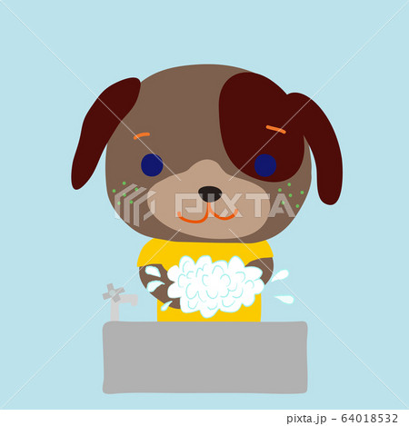 手を洗うかわいい子犬 A cute little dog washing hands 手を洗うかわいい子犬 A cute little dog washing hands 64018532