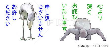 謝罪ハシビロコウ　謝りゴリラ 64018869