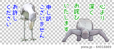 謝罪ハシビロコウ　謝りゴリラ 64018869