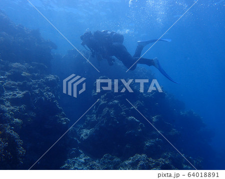 ダイバー 64018891