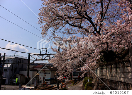 宋徳寺の前を通過する青梅線の下り電車(3) 宋徳寺の前を通過する青梅線の下り電車(3) 64019107